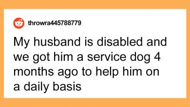 Photo of Woman Refuses To Get Rid Of Her Husband’s Service Dog Because Her Niece Doesn’t Feel Comfortable