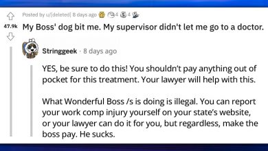 Photo of Boss’ Dog Bites Employee: Supervisor Insists on Continuing Shift Rather Than Seeking Medical Attention