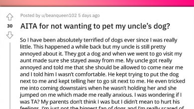 Photo of Redditor Who Is Terrified Of Dogs, Refuses To Pet The Uncle’s Dog, Asks If They Are The AH
