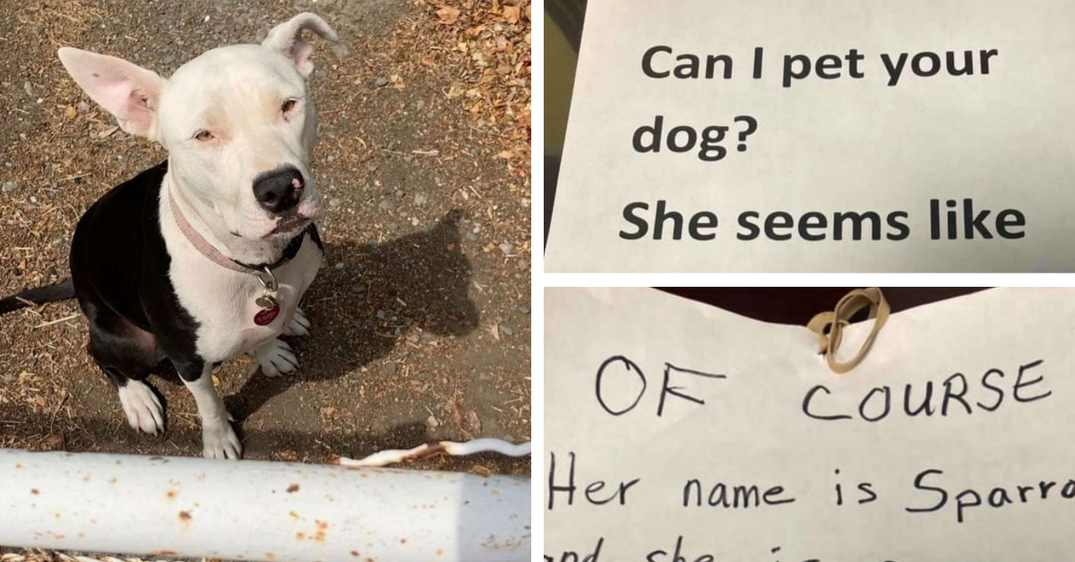 Woman Asks Neighbour For Permission To Pet Their Dog In A Note
