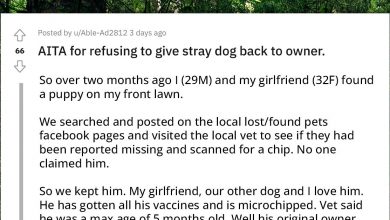 Photo of Redditor Refuses To Give Back A Stray Puppy To A Person Claiming To Be Its Owner But Has No Proof