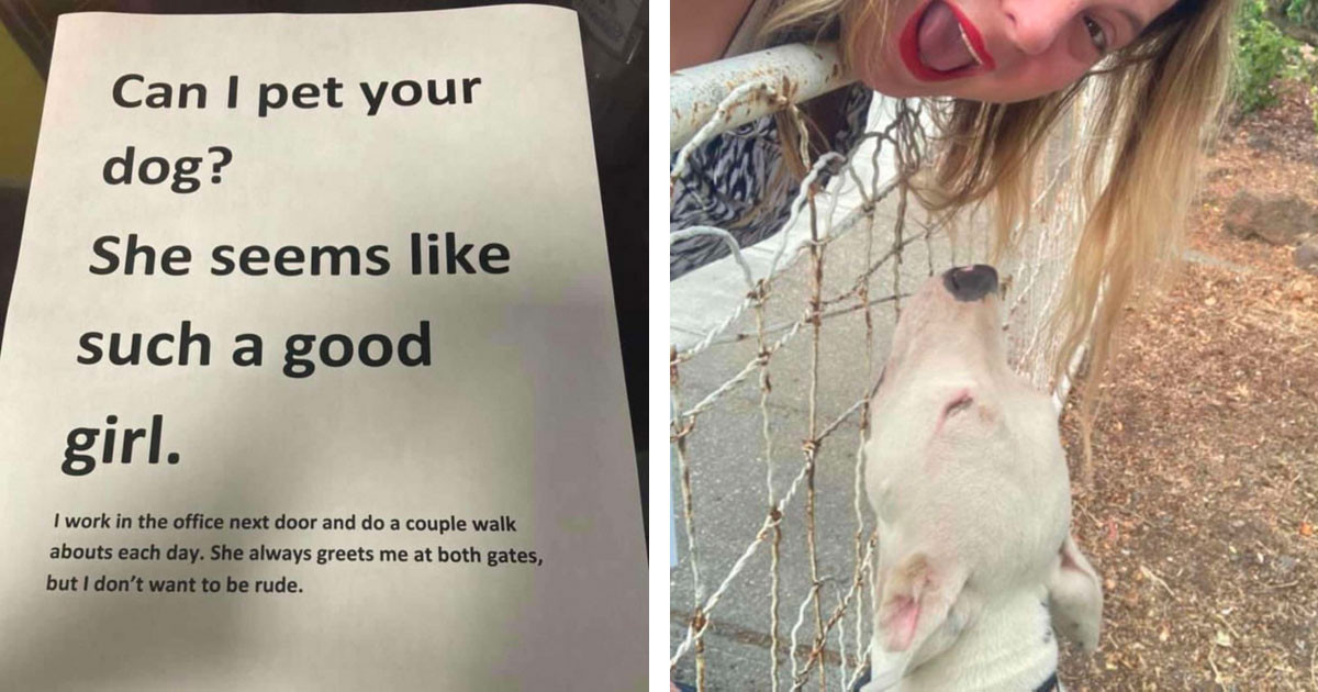 Adorable Dog Is So Cute That A Neighbor Woman Left A Note Asking To Pet The Pup