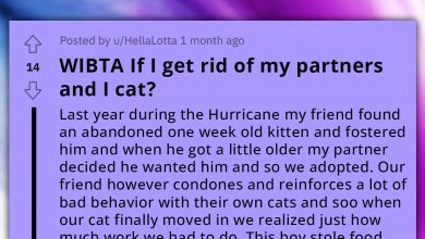 Photo of Woman Wants To Get Rid Of Her Cat For Its Sudden Bad Behavior, Seeks Advice Online But Gets Roasted Instead