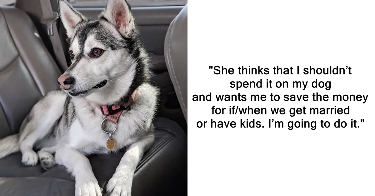 Guy Wants To Give His Dog Expensive Medical Treatment, Girlfriend Throws A Fit