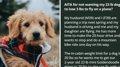 Photo of Husband Wants Wife To Restrict The Diet Of Their 23 Lbs Dog To Make Her Lose 3 More Lbs To Fly On A Plane, Wife Refuses
