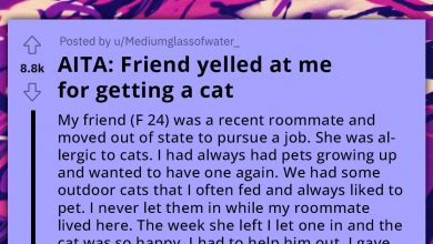 Photo of Allergic Ex-Roommate Yells At Redditor For Adopting Cat After She Moved Out, Contaminating All Her Belongings She Was Storing In Redditor’s Home