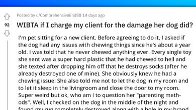 Photo of Dog Sitter Asks If It’s Okay To Charge Her Client For The Rug And Couch Her Dog Destroyed