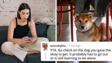 Photo of Entitled Woman Expects Roommate To Keep Her Dog Calm While She’s At Work