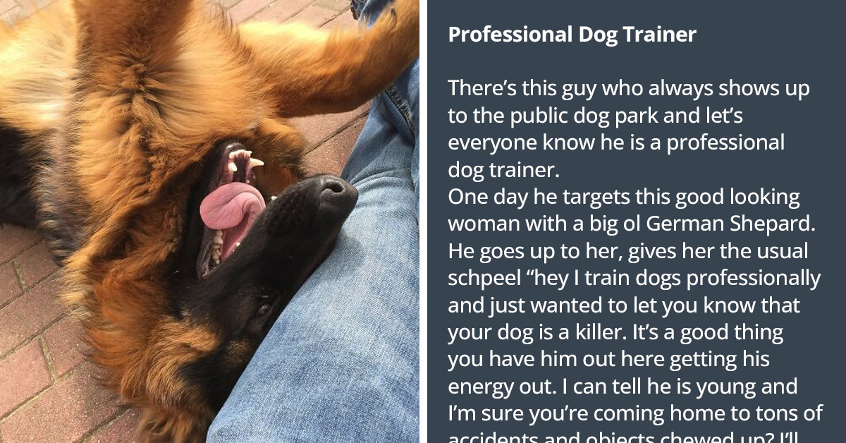 30 Times People With Annoyingly Inflated Egos Got Put In Their Rightful Place And Satisfyingly So