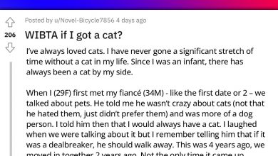 Photo of Woman Wants To Get Another Cat After Her Previous Cat Died, But Her Partner, Who Is A Dog Person Is Against It