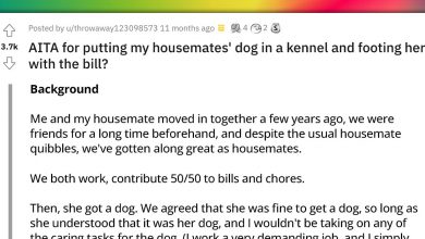 Photo of Woman Puts Housemate’s Dog In A Kennel Because She Has A Trip Planned, And The Dog’s Owner Responded Only After Finding Out She Has To Pay