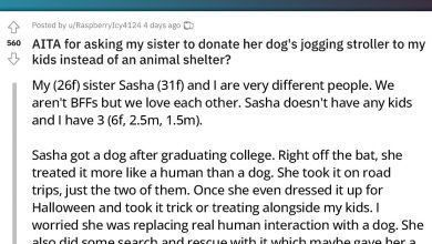 Photo of Mother Of Three Resents Her Sister’s Dog For Years Then Asks Her To Donate Its Stroller A Day After The Dog Passed Away