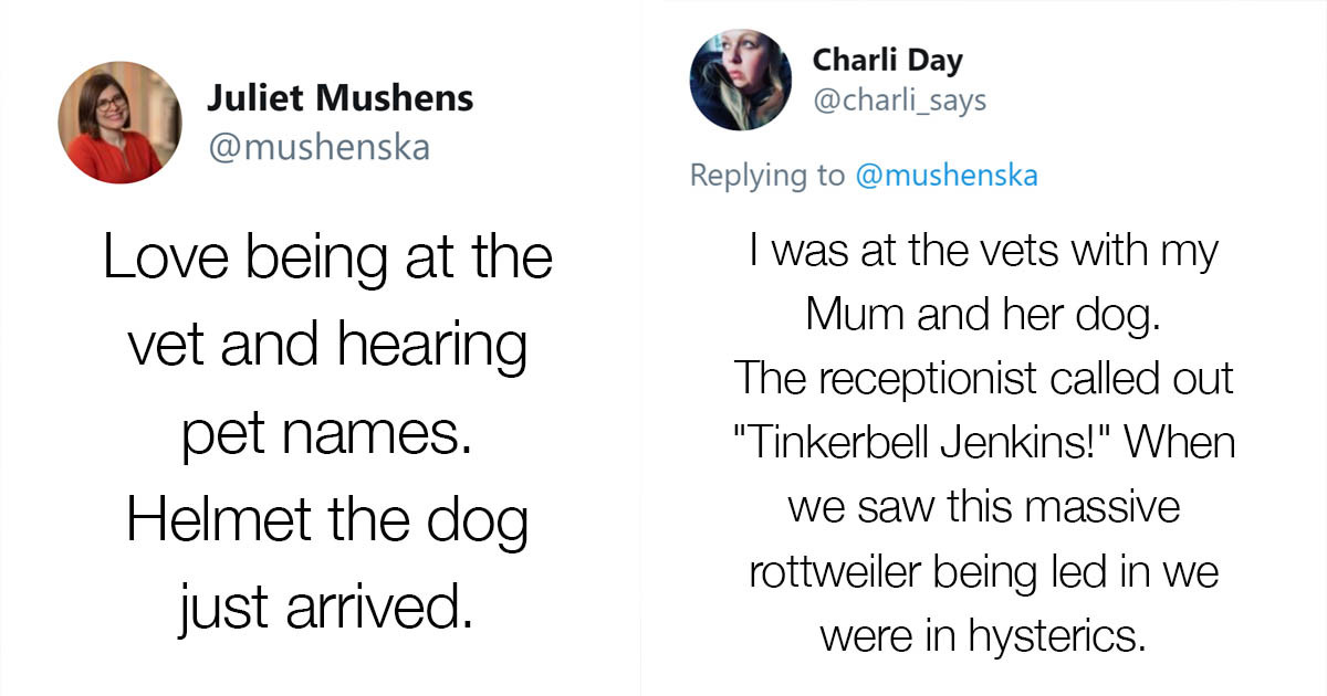 People Share 30 Hilarious Pet Names They Overheard At The Vet