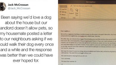 Photo of Guys Send Neighbor A Letter Asking If They Can Play With Her Dog And Received A Lovely Response