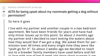 Photo of Redditor Feels Disrespected After Their Roommates Adopted A Puppy Without Their Approval