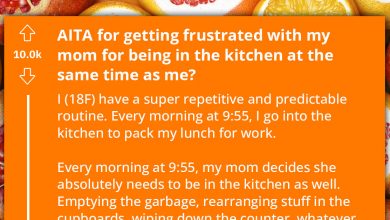 Photo of Lady Gets Mad At Mom For Always Choosing To Use The Kitchen Anytime She’s There, Seeks Help Online