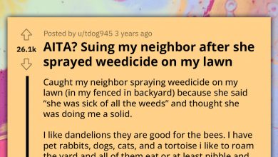Photo of Woman Is Suing Her Neighbor After She Sprayed Weedicide On Her Lawn Without Her Consent And Harming Some Of Her Animals