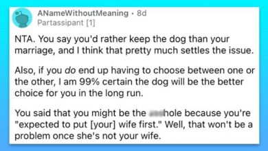 Photo of Wife Wants Husband To Get Rid Of The Dog, He Gets Rid Of Her Instead