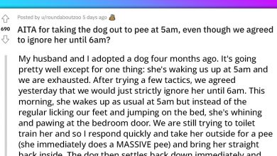 Photo of Man Gets Furious At His Wife For Taking A Dog Out To Pee Earlier Than They Had Previously Agreed