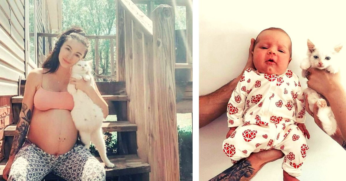 Woman Found The Sweetest Pregnancy Buddy; An Adorable Pregnant Stray Cat