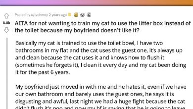 Photo of Man Demands From Girlfriend To Litterbox Train Her Cat Who Uses The Toilet Or He Would Leave, GF Refuses
