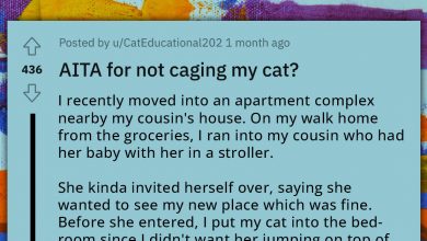Photo of OP Refuses Cousin’s Demands For Their Cat To Be Caged—Asks If They Are An A-Hole For Doing So