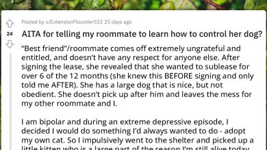 Photo of Bipolar Redditor Complains About Roommate’s Dog That’s Been Terrorizing Adopted Cat That Saved Her Life