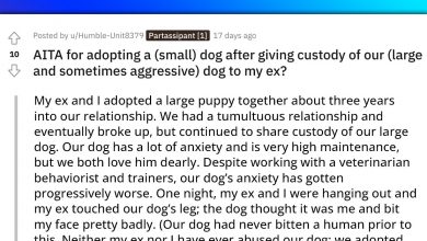 Photo of Redditor’s Ex Gets Furious Because She Adopts A New Dog After Giving Him Custody Of Their Old Aggressive Dog