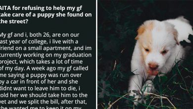 Photo of Man Refuses To Help His GF’s Puppy That She Found On The Street, People Support Him