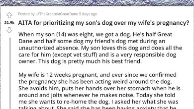 Photo of Redditor Gets Accused Of Prioritizing His Son’s Dog Over His Baby Because He Doesn’t Want To Rehome It