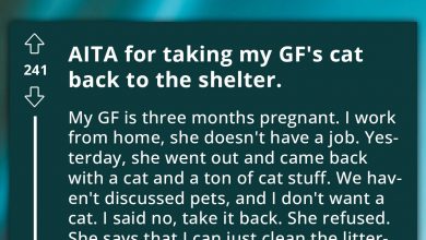 Photo of Man Has To Deal With His Pregnant Girlfriend Who Won’t Talk To Him After He Returned Her Newly Adopted Cat To The Shelter