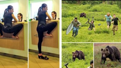 Photo of Viral Photoshopped Images That Fooled Everyone On The Internet Into Thinking That They Were Real