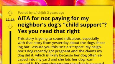 Photo of Entitled Dog Owner Demands “Child Support” For Her Dog Because She Got Pregnant While Roaming The Neighbor’s Yard And Playing With His Dog