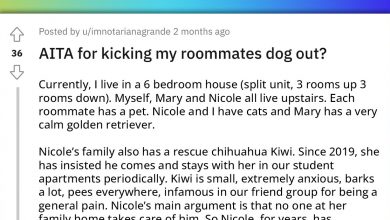 Photo of OP Is Torn Between Kicking Her Roommate’s Dog Out Of Their House And Letting It Stay And Be Neglected