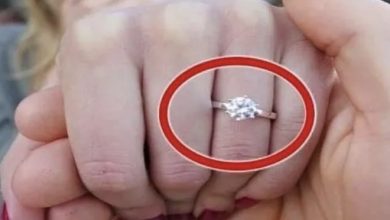 Photo of He Proposed To Her With A Diamond Ring, Which She Accepted, And She Was Overjoyed