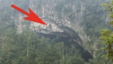 Photo of One man found a hidden cave