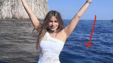 Photo of Sofia Vergara Celebrates Her 51st Birthday In Italy – But Fans Noticed Worrying Detail In Pictures