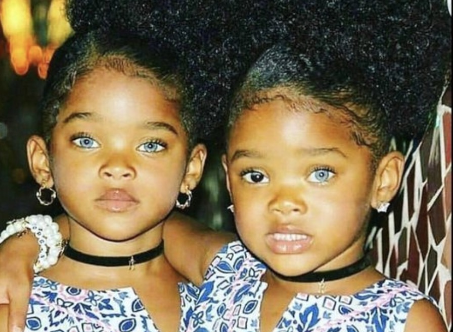these-are-the-incredible-trueblue-twins-lolitopia