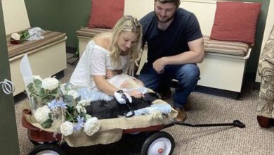 Photo of Couple gets married at the vet so elderly dog can be there for their wedding