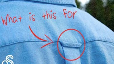 Photo of I Never Understood What This Loop On Your Shirt Was For Until They Showed Me