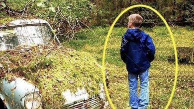 Photo of Kid Walking Through Forest Finds Abandoned Car, Notices Old Box with Envelope Inside