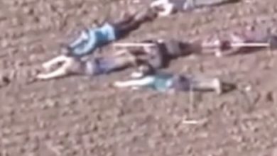 Photo of Children lay motionless on ground – when the police helicopter realizes why, they immediately take action