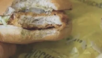 Photo of Family Pulls Out Camera For Proof Of What McDonald’s Put On All Of Their Sandwiches