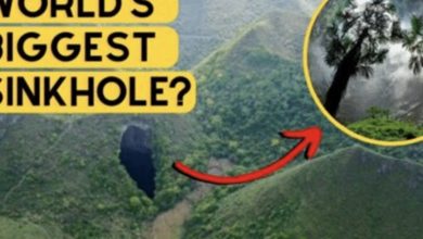 Photo of In China, 630 feet down, scientists found the “Heavenly Pits” sinkhole.