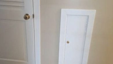 Photo of “I saw this tiny door at my neighbor’s house. I’m so confused. What is it for?”