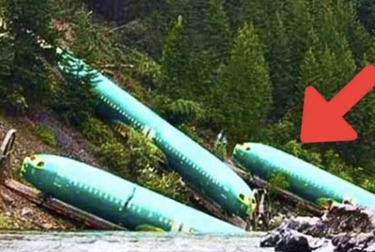 lost-planes-found-after-decades-researchers-burst-into-tears-when