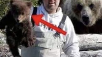 Photo of Fisherman saves a bear cub: the next day the mother bear comes to him with a gift