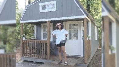 Photo of Woman turns shed into gorgeous tiny home & brings cameras inside to show how she makes it work