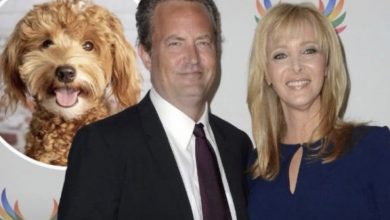 Photo of Lisa Kudrow May Adopt Matthew Perry’s Dog After His Tragic Passing