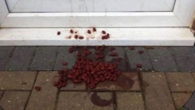 Photo of A woman discovered food left at her front door, but she disregarded the “sign”.